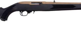 Ruger 10/22 22LR 18.5DDE 10RD FDE